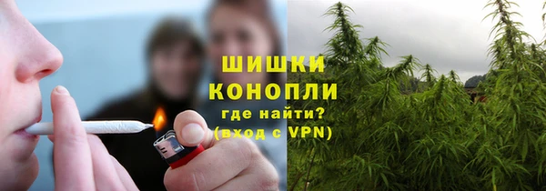 ешки Алзамай