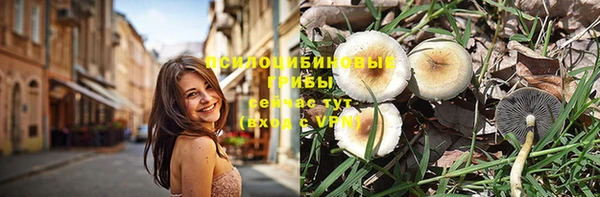 ешки Алзамай