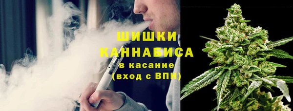 ешки Алзамай