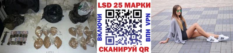 гидра маркетплейс  Черноголовка  Лсд 25 экстази ecstasy  где можно купить наркотик 